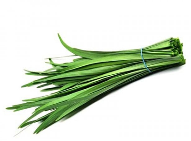 Herbs