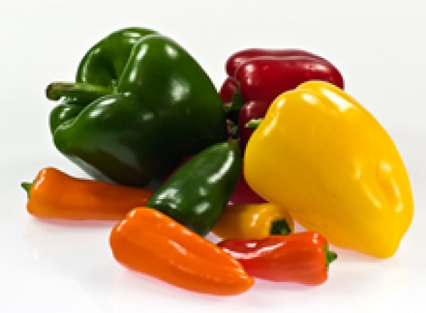 Capsicum